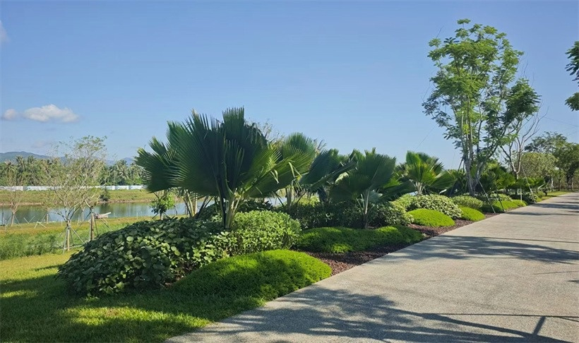 三亞海棠河一期三標